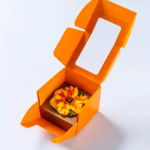 Gift Box - Trópusi hibiszkusz