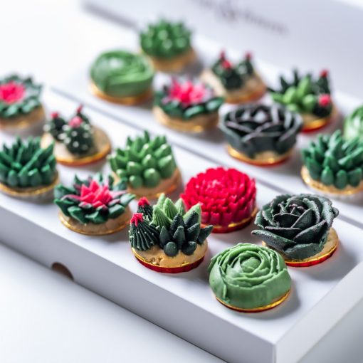 Mini Cactus Paradise